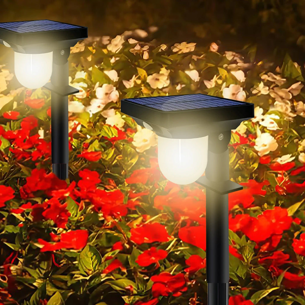 Lampe Solaire Camping LED | 3 Modes | Rechargeable USB & Solaire | Urgence